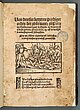 Thomas Murners Reimdichtung über den berüchtigten Ketzer-Prozess in Bern 1509.