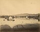 Fotografie, 1888 Besonders betroffen vom Rhein-Hochwasser war die Parzelle Wiesenrain in Lustenau; in der rückseitigen Beschriftung wird vermerkt, dass das Wasser bereits 70 Zentimeter zurückgegangen sei. Geschenk: Archiv der ÖBB, Innsbruck